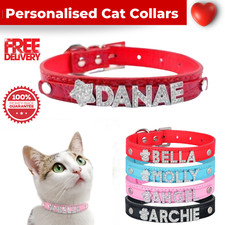 Cat Kitten Collar Release Cat
