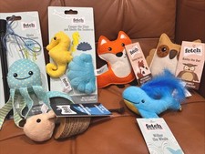 6-Pack Cat Kitten Scratch and