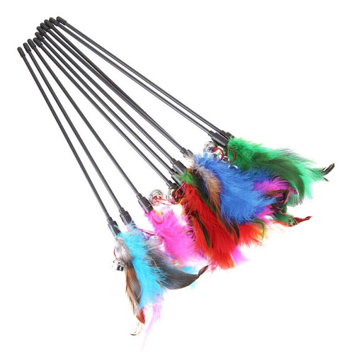 Kitten cat feather toy bell - kitten,