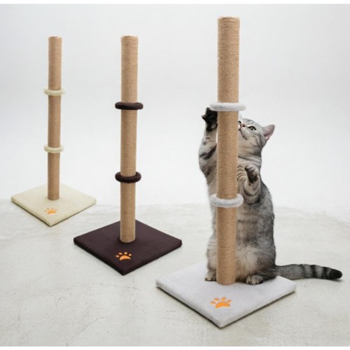 89cm extra tall - tall, cat