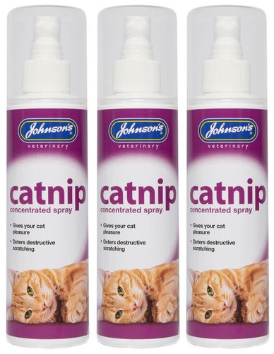 Johnsons catnip - 3x,