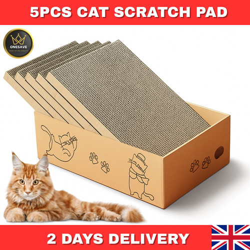 5pc cat scratching - board, box