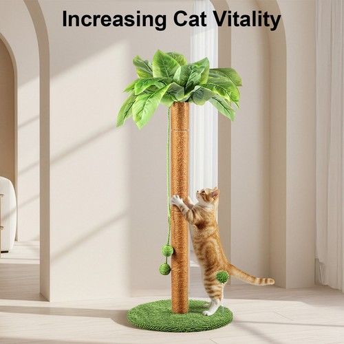 Cat scratching post - scratching,