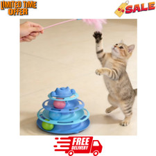 Interactive Indoor Kitten Cat