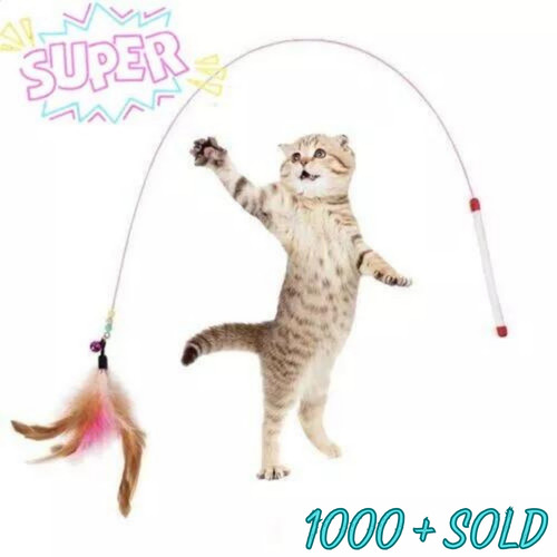 Cat kitten toy - cat,