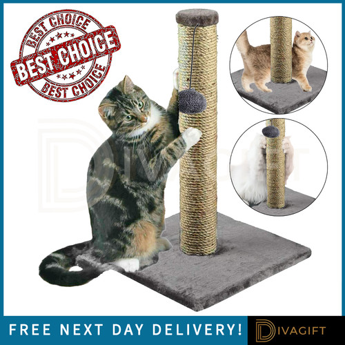 Cat scratching post - cat, scratch