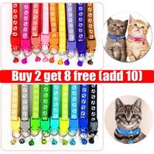 Safety Release Cat Kitten