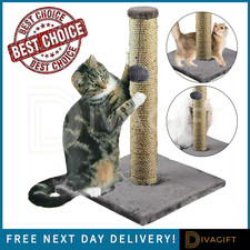 CAT SCRATCH POST SCRATCHING