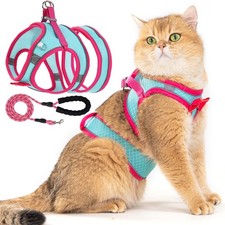 Cat Harness and Leash Set